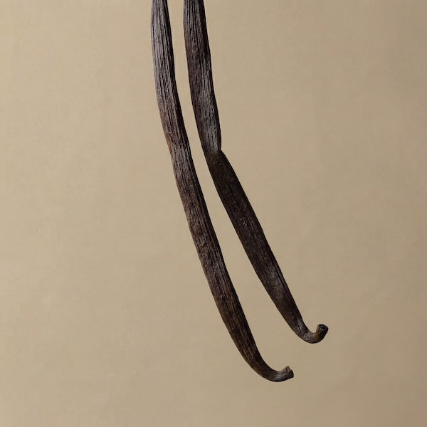Two vanilla beans on a beige background