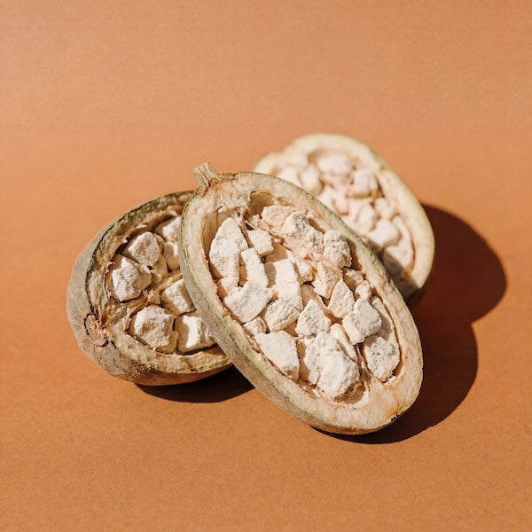 Two halves of a baobab pod on a brown background