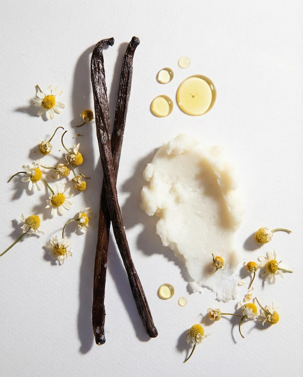 Vanilla beans, whipped cream, and flowers on a light background