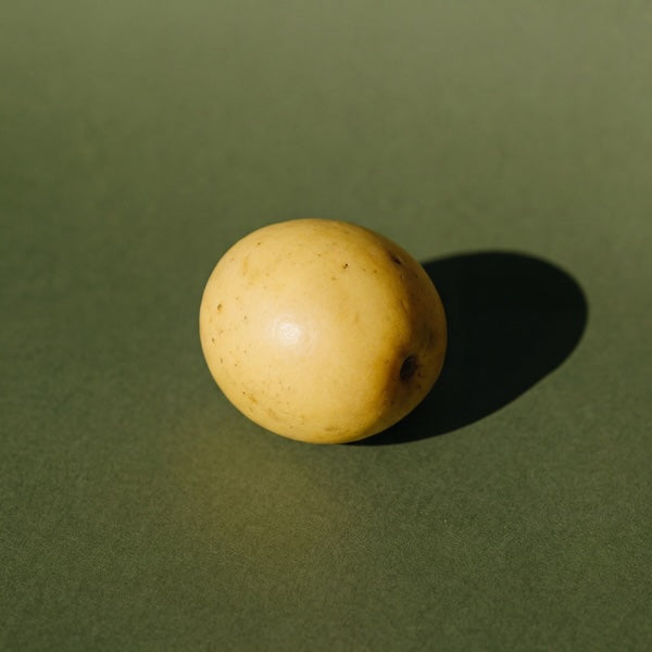 Single yellow marula on a green background